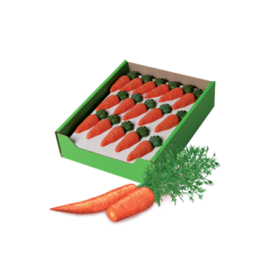 ZANAHORIAS CON ESPINACA 84 UD
