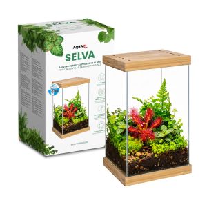 SELVA - MINI TERRARIO