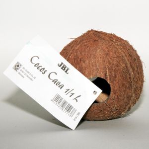 COCOS JAVA 1/1 M