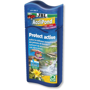 ACCLIPOND