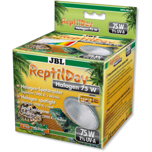 REPTILDAY HALOGEN 75W