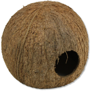COCOS JAVA 3/4 L