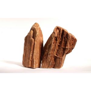 ROCAS MADERA ROJIZAS