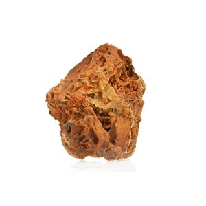 ROCA MAPLE