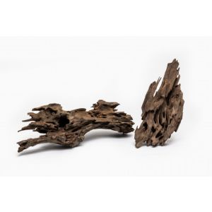 RAIZ DRAGON S  0-20 cm
