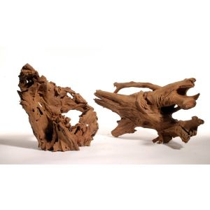 MANGROVE XL 70 - 80 CM