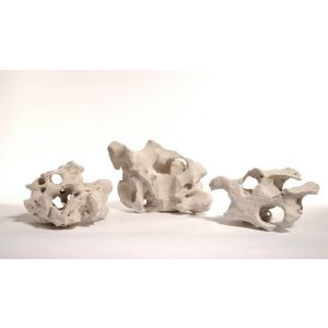 ROCAS BLANCAS CON AGUJEROS