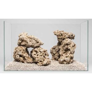 ROCA SAVE THE REEF