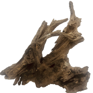 WOOD STUMP