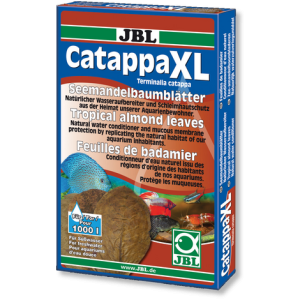 CATAPPA XL +